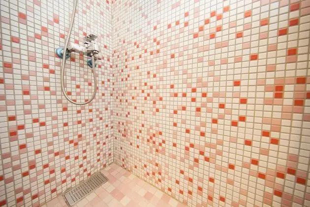 Standard Tek Büyük Yataklı Oda, 1 Çift Kişilik Yatak, Ortak Banyo