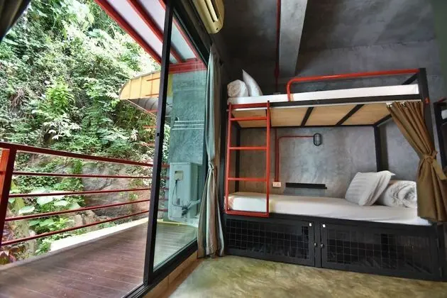 Mixed 14 Beds Dorm