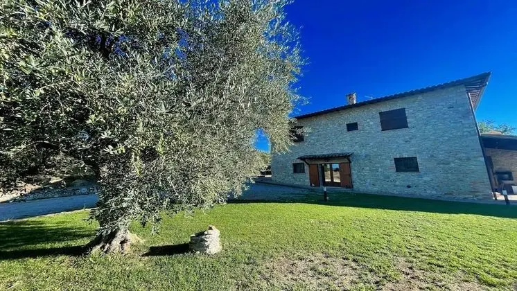 Villa, 5 Yatak Odası, Teras