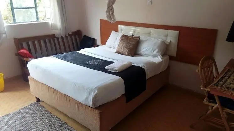 Deluxe Tek Büyük Yataklı Oda, 1 Çift Kişilik Yatak, Üzüm Asması Manzaralı