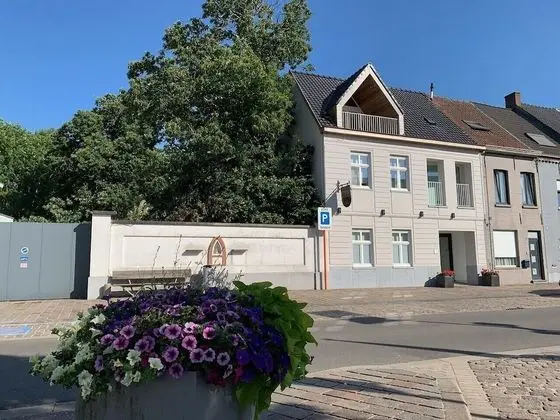 Deluxe Stüdyo, 1 Tek Kişilik Yatak