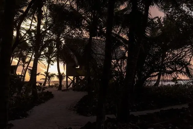 Basic Kulübe, Birden Çok Yatak, Okyanus Manzaralı