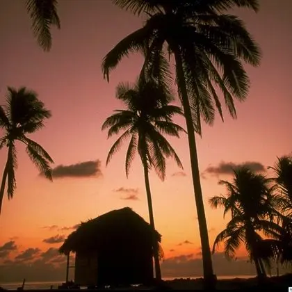 Basic Kulübe, Birden Çok Yatak, Okyanus Manzaralı