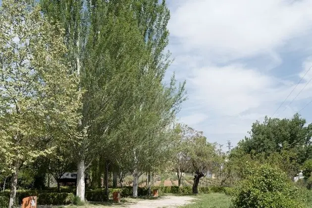 Çadır (No bed provided. Bring tent / caravan)