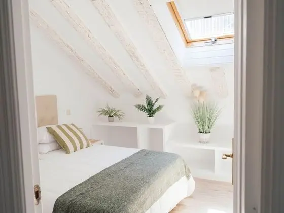 Deluxe Çatı Katı Süiti (Penthouse)