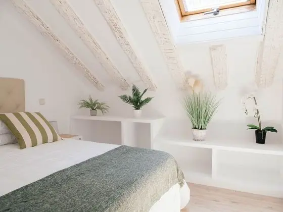 Deluxe Çatı Katı Süiti (Penthouse)