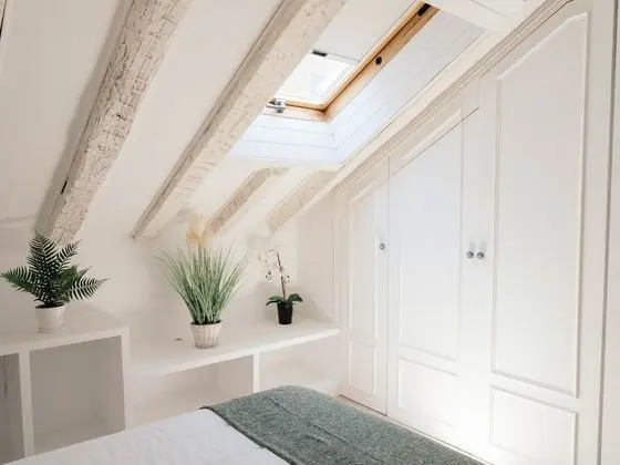 Deluxe Çatı Katı Süiti (Penthouse)