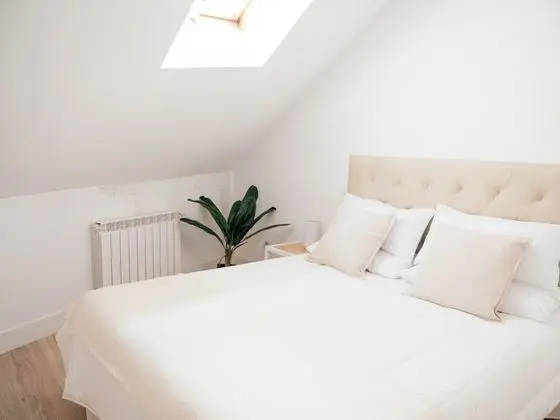 Deluxe Çatı Katı Süiti (Penthouse)