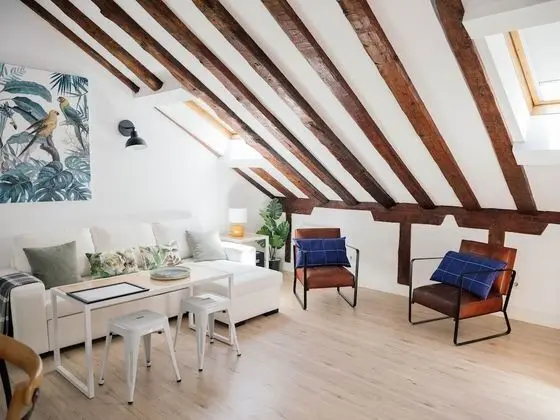 Deluxe Çatı Katı Süiti (Penthouse)