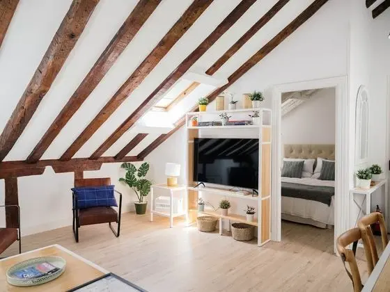 Deluxe Çatı Katı Süiti (Penthouse)