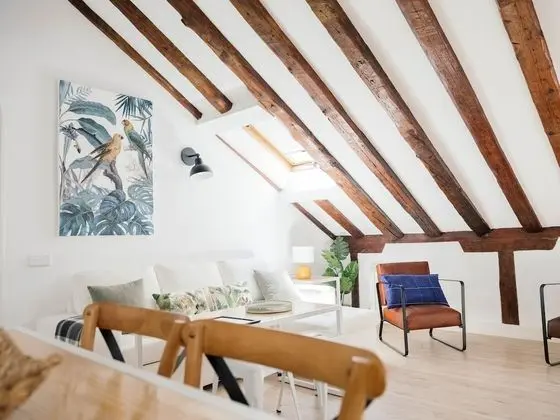 Deluxe Çatı Katı Süiti (Penthouse)