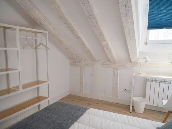 Deluxe Çatı Katı Süiti (Penthouse)