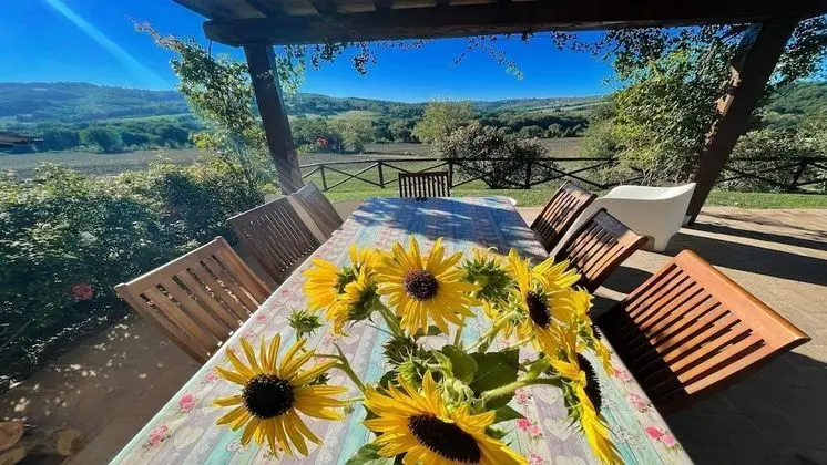 Villa, 5 Yatak Odası, Teras