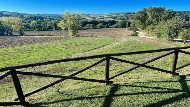 Villa, 5 Yatak Odası, Teras