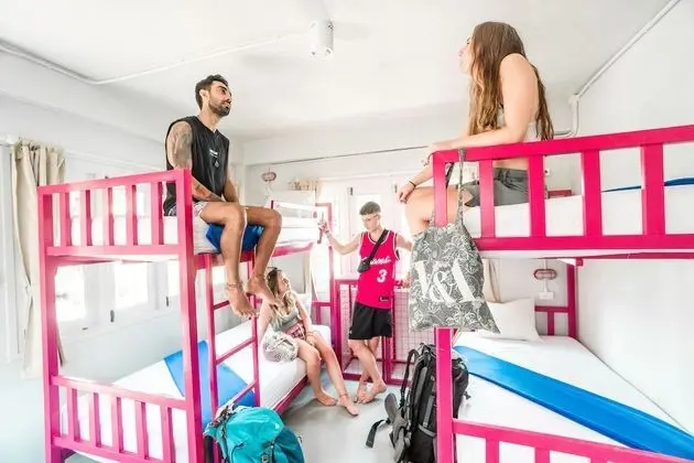 Bed In 6 Bed Mixed Dorm