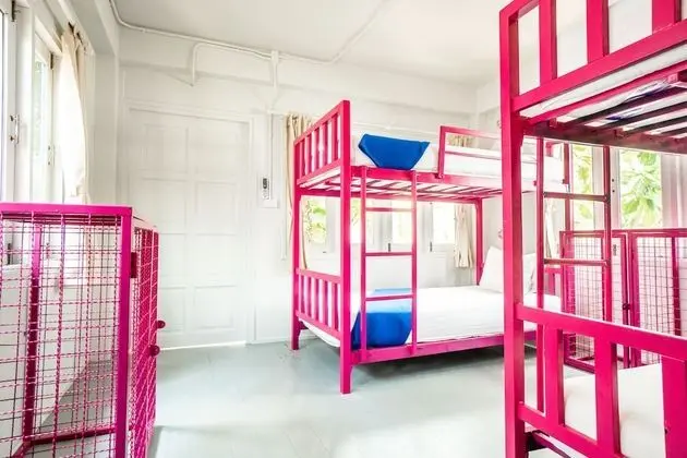 Bed In 6 Bed Mixed Dorm