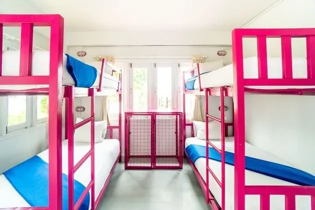 Bed In 6 Bed Mixed Dorm