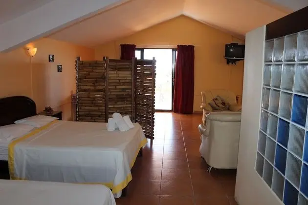 Superior Çatı Katı Süiti (Penthouse), 1 Yatak Odası