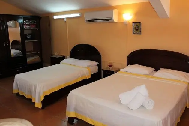 Superior Çatı Katı Süiti (Penthouse), 1 Yatak Odası