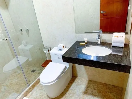 Standard Tek Büyük Yataklı Oda, 1 En Büyük (King) Boy Yatak