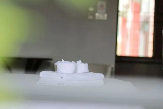 Superior Tek Büyük Yataklı Oda, 1 En Büyük (King) Boy Yatak, Sigara İçilmez