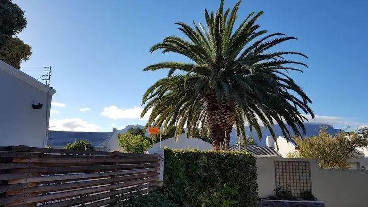 Dağ Evi, 1 Yatak Odası, Şömine