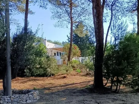 Apart Daire, 2 Yatak Odası, Şömine