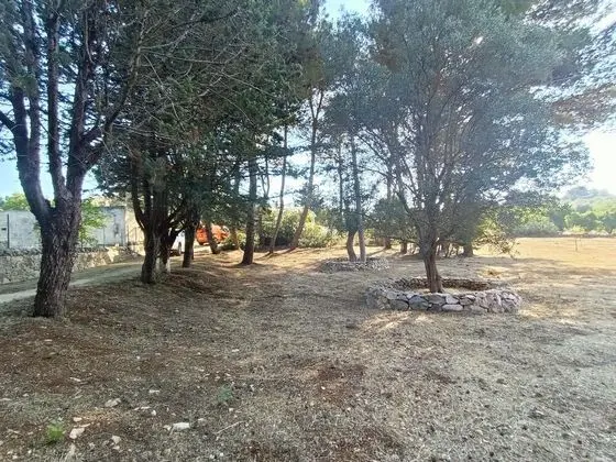 Apart Daire, 2 Yatak Odası, Şömine