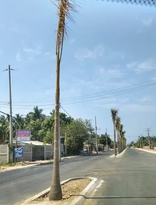 Oda, 1 Yatak Odası, Veranda