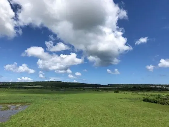 Dört Kişilik Oda, Dağ Manzaralı
