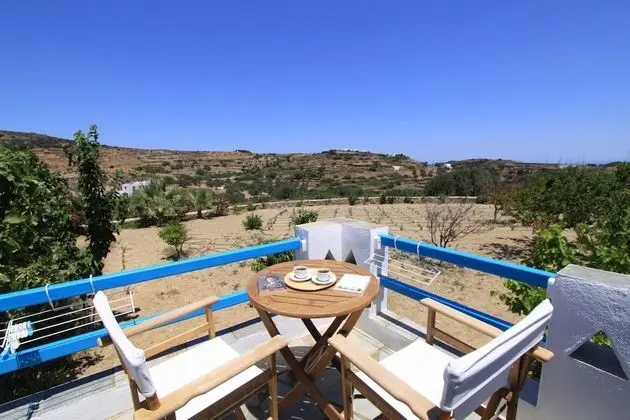 Traditional Oda, 1 Çift Kişilik veya 2 Tek Kişilik Yatak, Balkon, Bahçe Manzaralı
