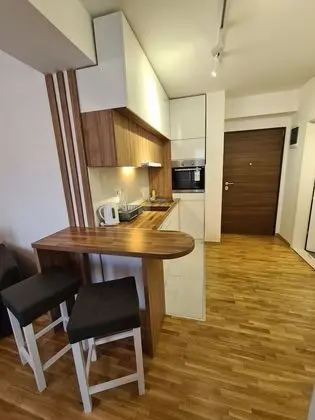 Superior Apartment Street Anastas Mitrev number 10