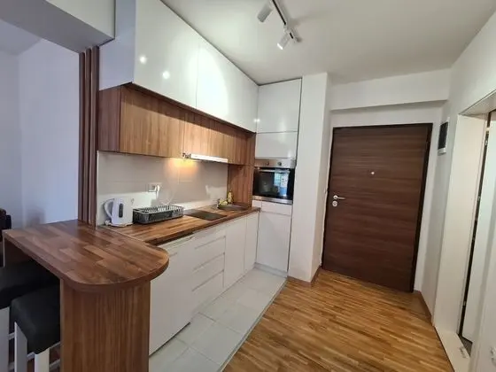 Superior Apartment Street Anastas Mitrev number 10
