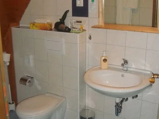 Basic Tek Büyük Yataklı Oda, 1 Çift Kişilik Yatak, Özel Banyo