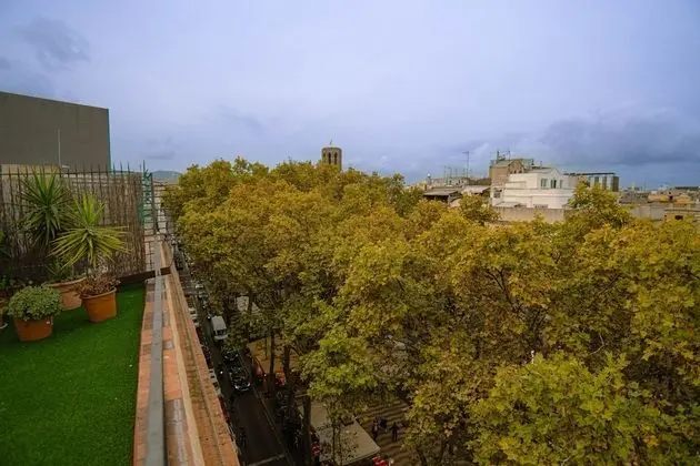 Stüdyo, Teras