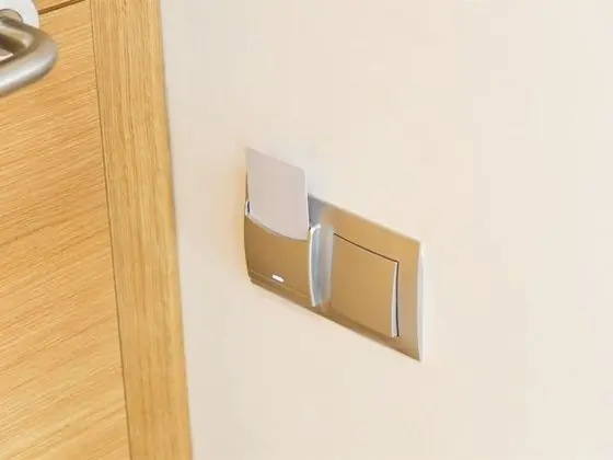Standard Tek Büyük Yataklı Oda, Özel Banyo