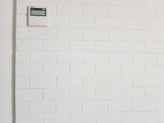 Standard Tek Büyük Yataklı Oda, Özel Banyo