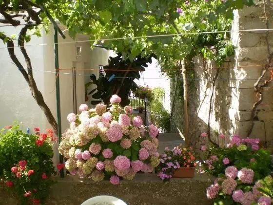 Ev (Smi - 30 m from sea - H(4+1))