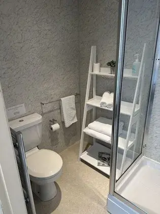 Tek Büyük Yataklı Oda, Banyolu/Duşlu (No Pet)