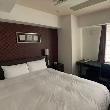 Superior Tek Büyük Yataklı Oda, Sigara İçilmez