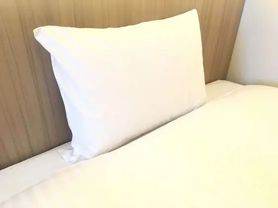 Superior İki Ayrı Yataklı Oda, Sigara İçilmez (140cm and 120cm Beds)