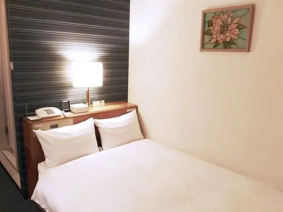 Economy Tek Büyük Yataklı Oda, Sigara İçilebilir (Housekeeping once every 3 days)