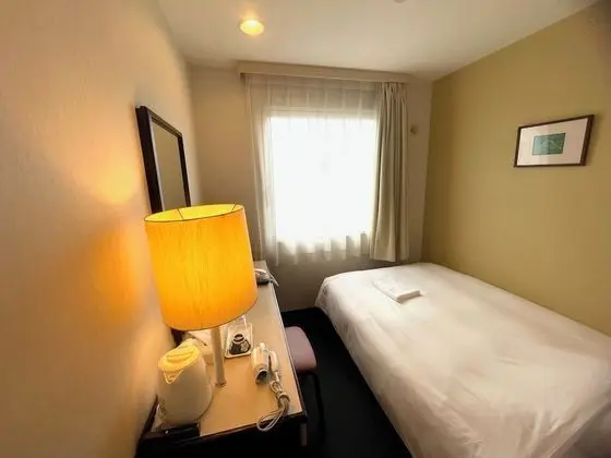 Economy Tek Kişilik Oda, Sigara İçilmez (Free Parking,11sqm)