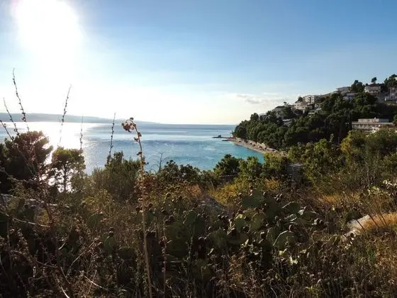 Apart Daire (Smilja - 150 m from pebble beach - A2)
