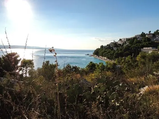 Stüdyo (Smilja - 150 m from pebble beach - SA)