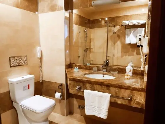 Deluxe Tek Büyük veya İki Ayrı Yataklı Oda