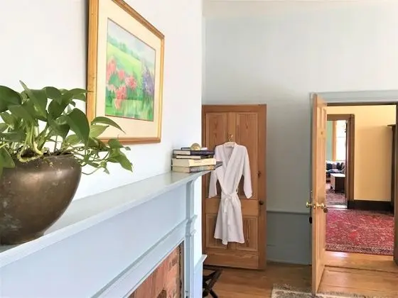Deluxe Tek Büyük Yataklı Oda, Banyolu/Duşlu (Wellford)
