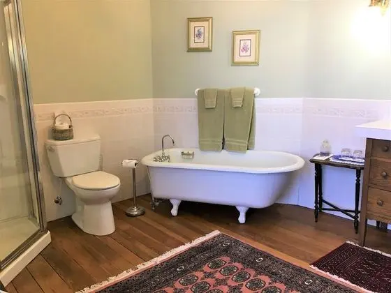 Deluxe Tek Büyük Yataklı Oda, Banyolu/Duşlu (Wellford)