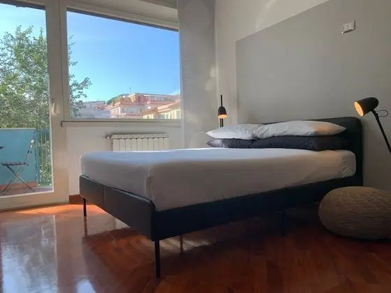Deluxe Tek Büyük Yataklı Oda, 1 Yatak Odası, Balkon, Şehir Manzaralı