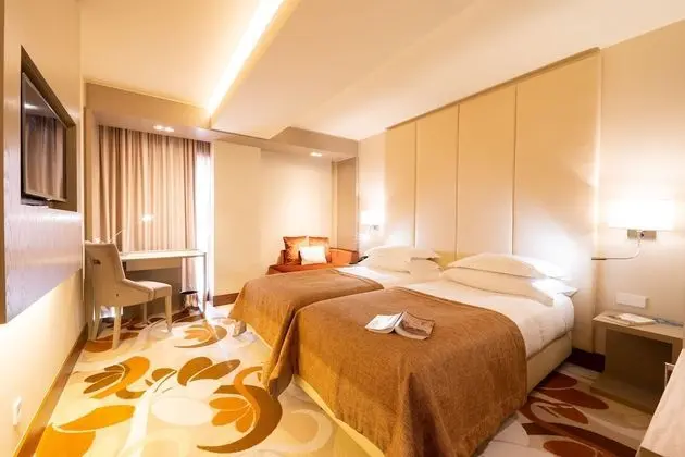 Superior Tek Büyük Yataklı Oda